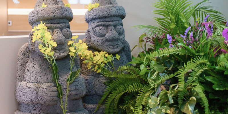 원티드랩에 찾아온 제주의 봄 | wanted blog