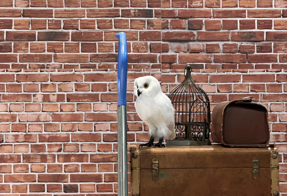 오늘은 호그와트로 출근합니다