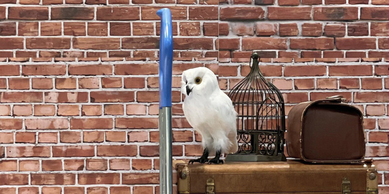 오늘은 호그와트로 출근합니다 | 원티드 블로그